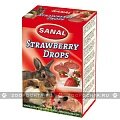 Sanal Strawberry Drops 45 г - витамины для кроликов