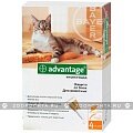 Bayer Advantage (Байер Адвантейдж) 40, 4 х 0.4 мл - капли от блох и клещей для кошек, весом до 4 кг
